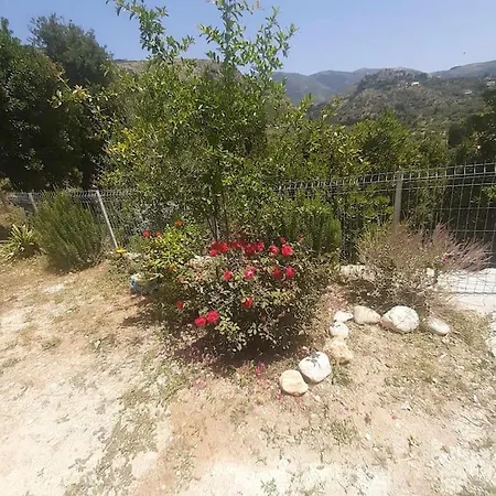 Apartment Iremia